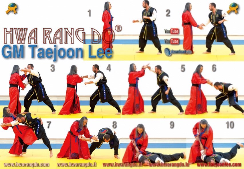 Grandmaster Taejoon Lee demonstrating a self defense technique in the 2nd Edition of Budo International April 2022 Issue.

#hwarang #hwarangdo #taesoodo #selfdefense #martialarts #budo #budointernational #magazine #taejoonlee #화랑 #화랑도 #이태준