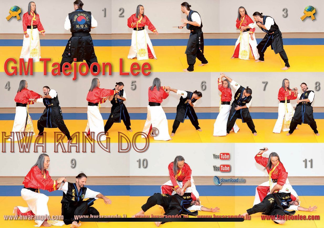 Grandmaster Taejoon Lee demonstrating a knife defense technique in the March 2023 2nd Edition of Budo International.

#hwarang #hwarangdo #taesoodo #martialarts #knife #knifedefense #selfdefense #budointernational #taejoonlee #화랑 #화랑도 #이태준